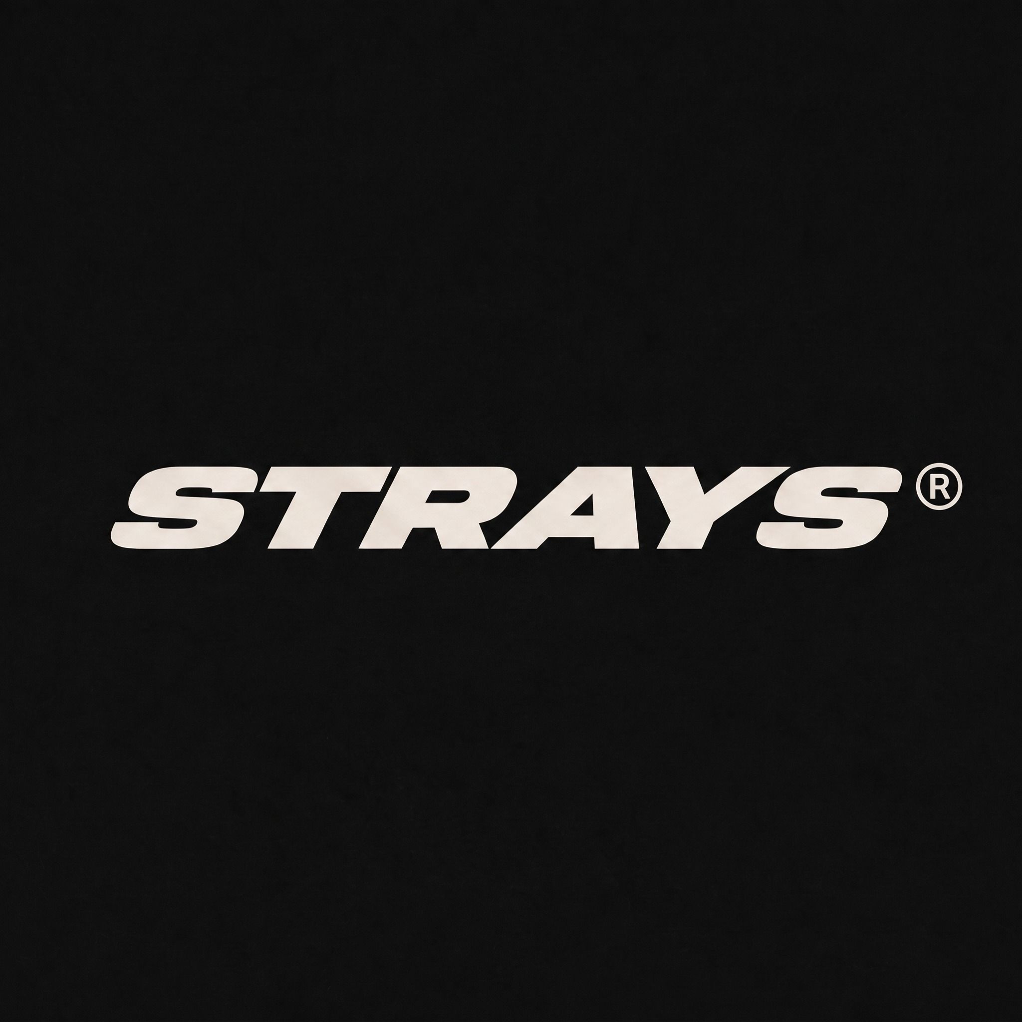 STRAYS STUDIOS