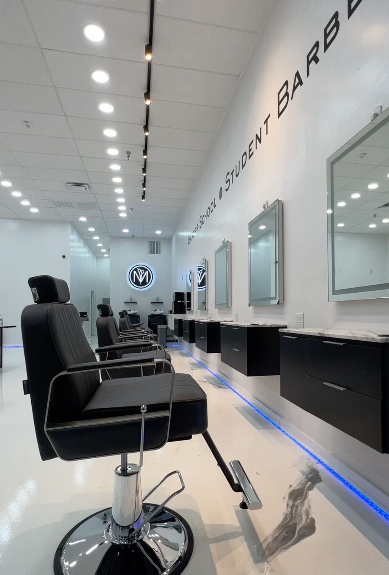 Modern Image Institute