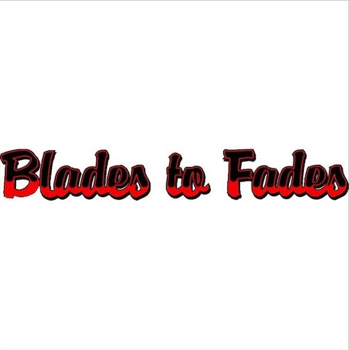 Blades To Fades Chicago LLC