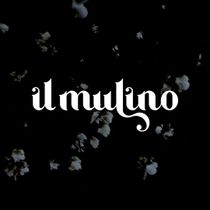 IL MULINO - Seneca Niagara Resort & Casino