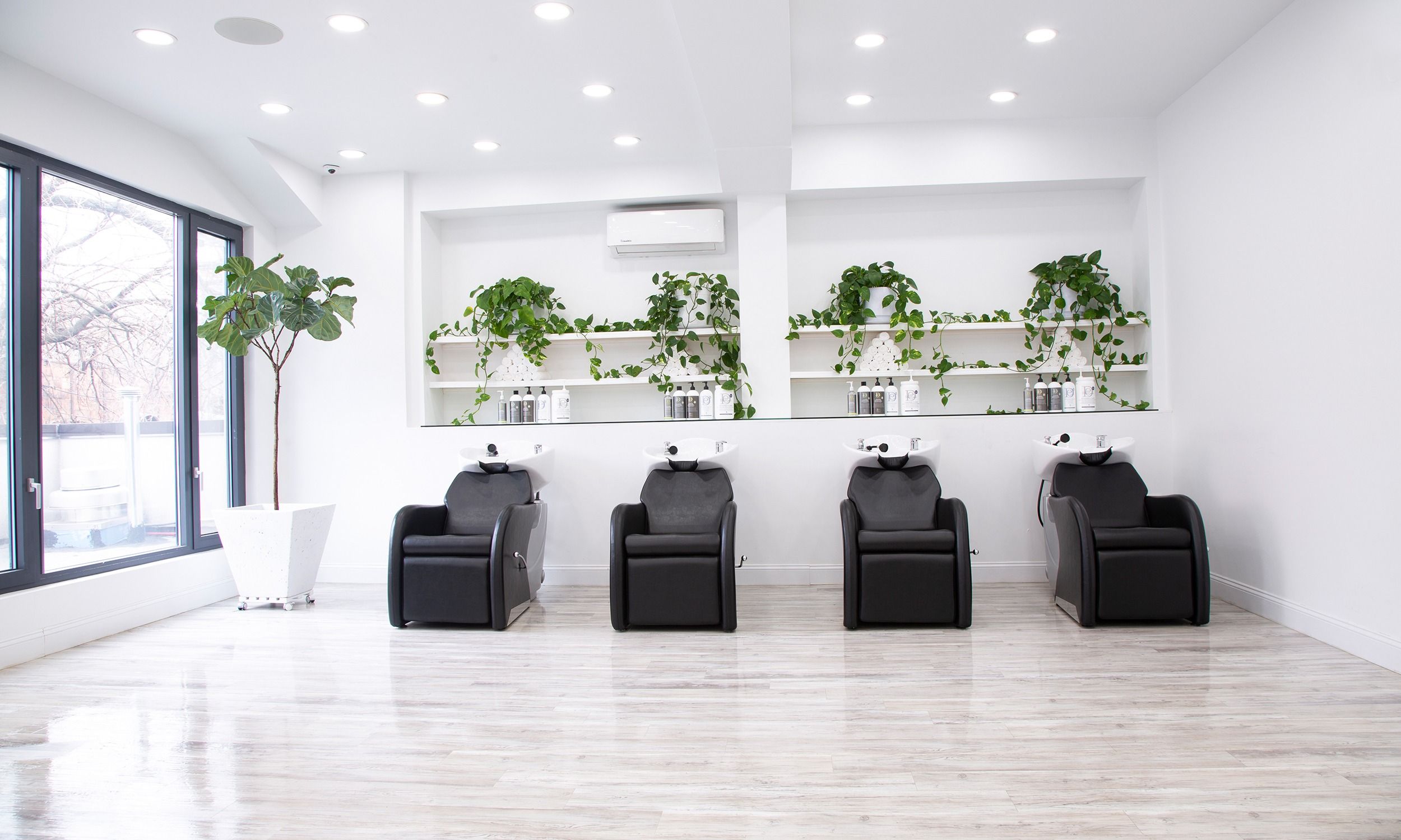 Adrian Fanus Grooming