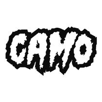 CAMO - Evesham